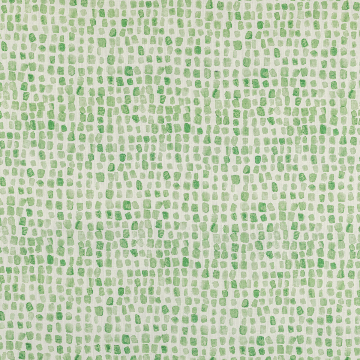 Kravet Basics Shodo Path.3.0 Shodo Path Multipurpose Fabric in Grass/White/Green